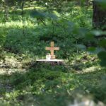 Pagaliau nusipirkusi gyvūnų kapinių projektavimo paslaugas, Panevėžio savivaldybė joms įrengti pinigų kol kas neskyrė. Motyvas – pirmiausia norima baigti žmonėms skirtų kapinių plėtrą Pašiliuose, o tada, jei pavyks, gal jau kitąmet ieškoti lėšų jų augintiniams.