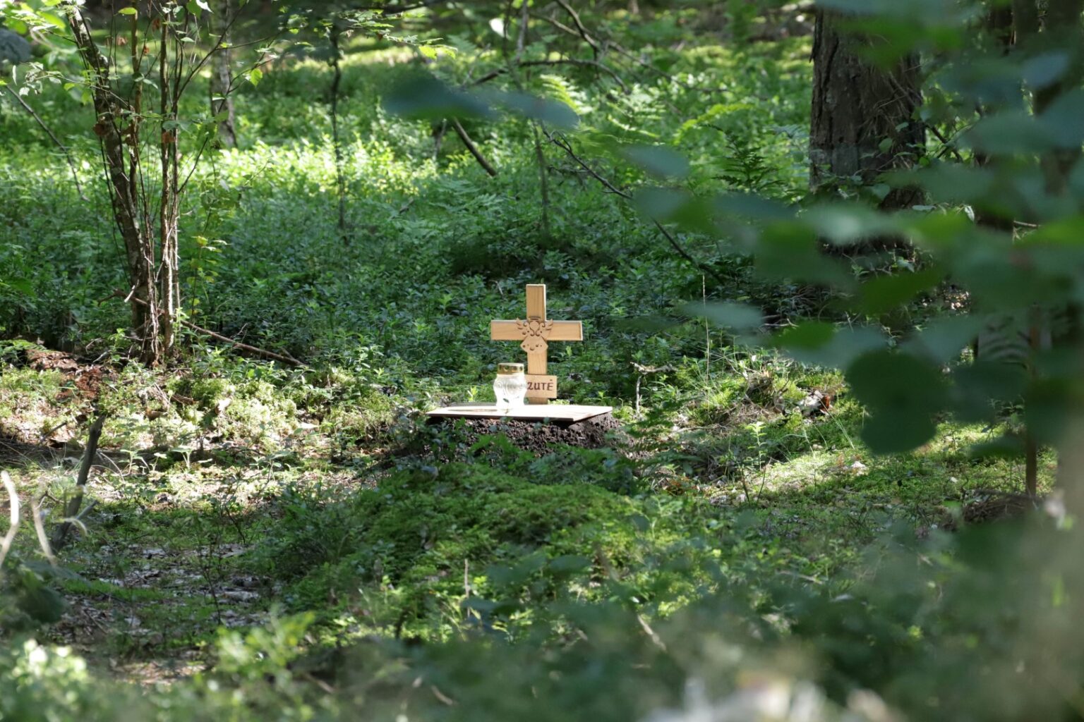 Pagaliau nusipirkusi gyvūnų kapinių projektavimo paslaugas, Panevėžio savivaldybė joms įrengti pinigų kol kas neskyrė. Motyvas – pirmiausia norima baigti žmonėms skirtų kapinių plėtrą Pašiliuose, o tada, jei pavyks, gal jau kitąmet ieškoti lėšų jų augintiniams.