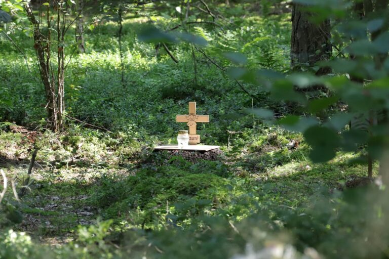 Pagaliau nusipirkusi gyvūnų kapinių projektavimo paslaugas, Panevėžio savivaldybė joms įrengti pinigų kol kas neskyrė. Motyvas – pirmiausia norima baigti žmonėms skirtų kapinių plėtrą Pašiliuose, o tada, jei pavyks, gal jau kitąmet ieškoti lėšų jų augintiniams.