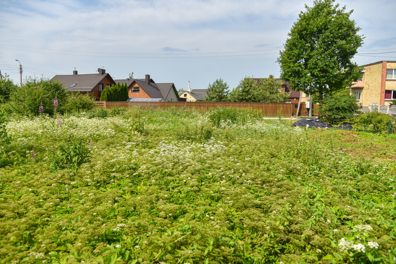 Apleidus sklypą, žemės mokestis gali padidėti visu tūkstančiu eurų. P. ŽIDONIO nuotr.