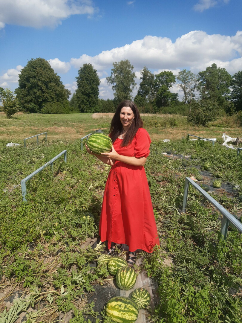 Nors pavasaris grasino paskandinti, o vasara nelepino orais, Panevėžio rajone gyvenančiai Vilmai Rakauskaitei-Žukienei pavyko išauginti kone toną žaliųjų milžinų. V. RAKAUSKAITĖS-ŽUKIENĖS asmeninio archyvo nuotr.