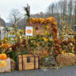Panevėžio kultūros ir poilsio parką jau šįvakar nušvies juokingi, gąsdinantys, vienas už kitą įdomesni, gražesni pūstažandžių moliūgų žibintai.