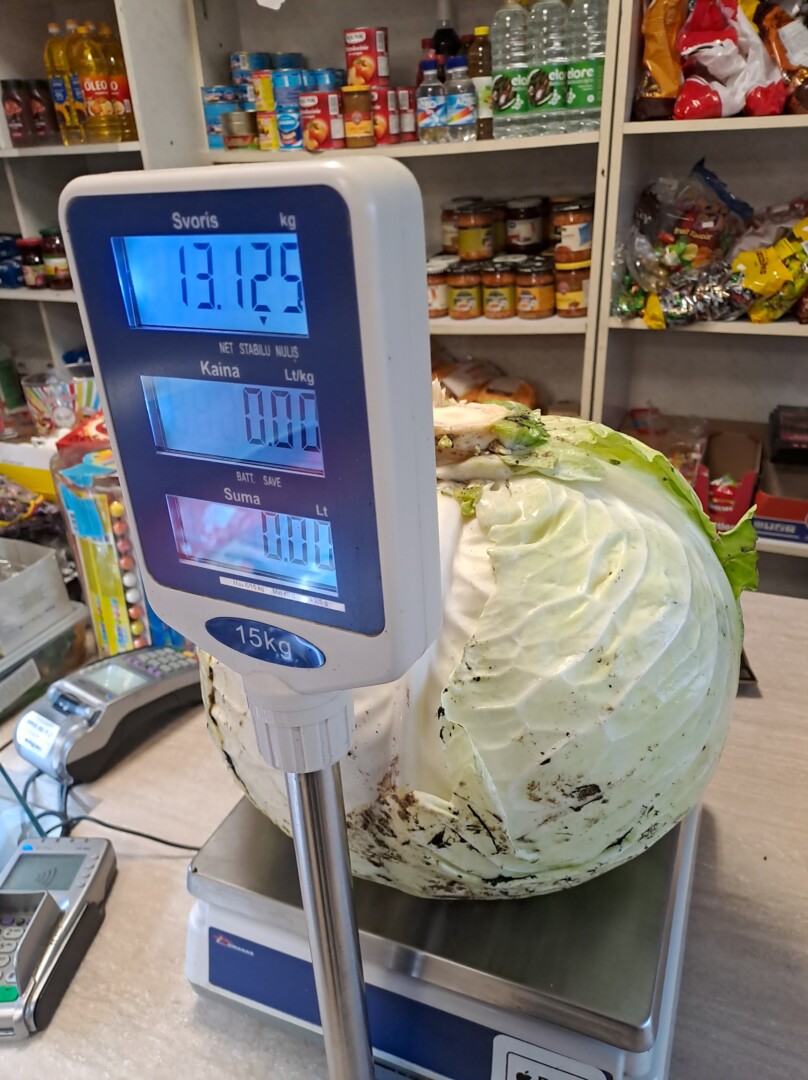 VšĮ „REKORDŲ AKADEMIJA“ nuotr.