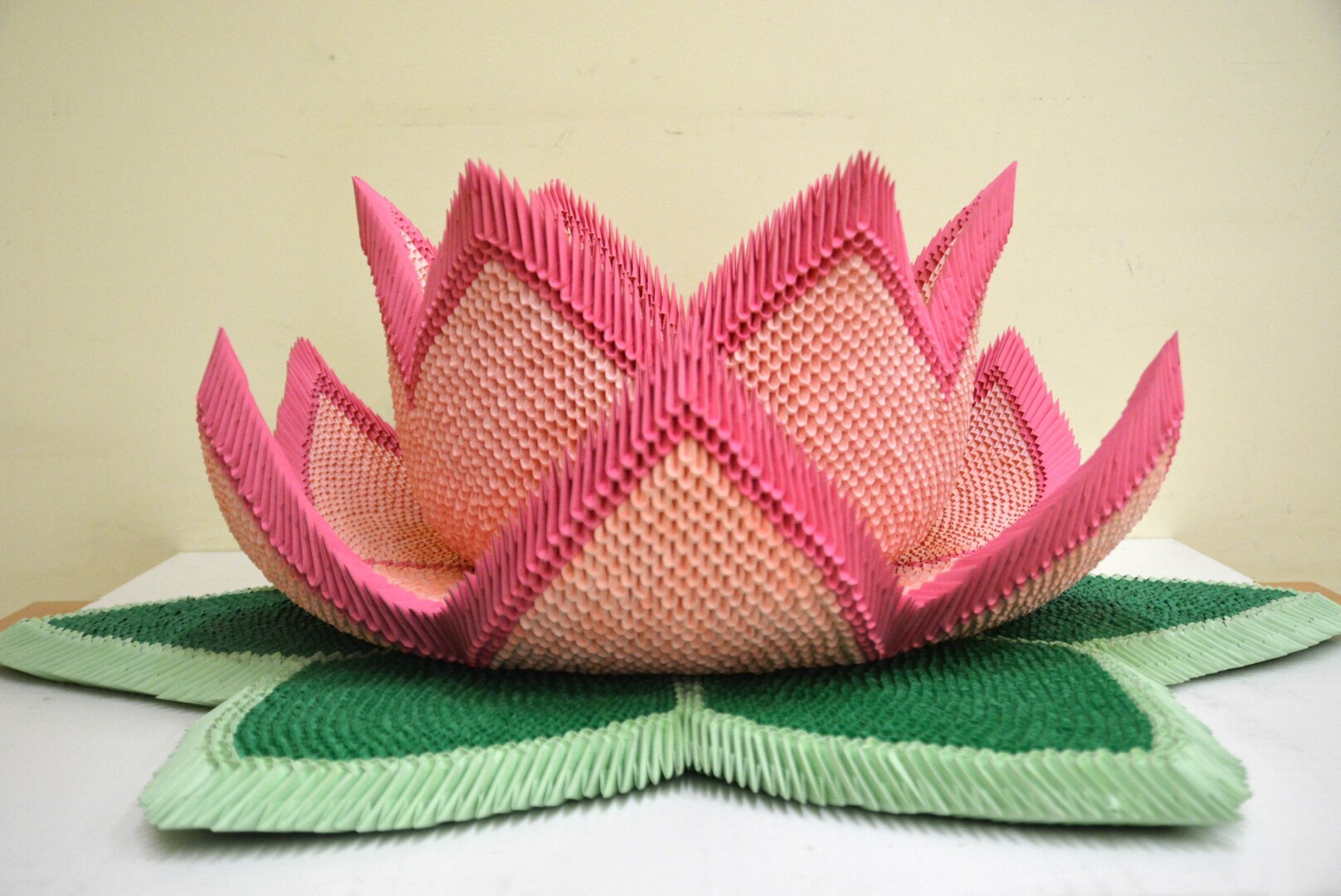 VšĮ „REKORDŲ AKADEMIJA“ nuotr.