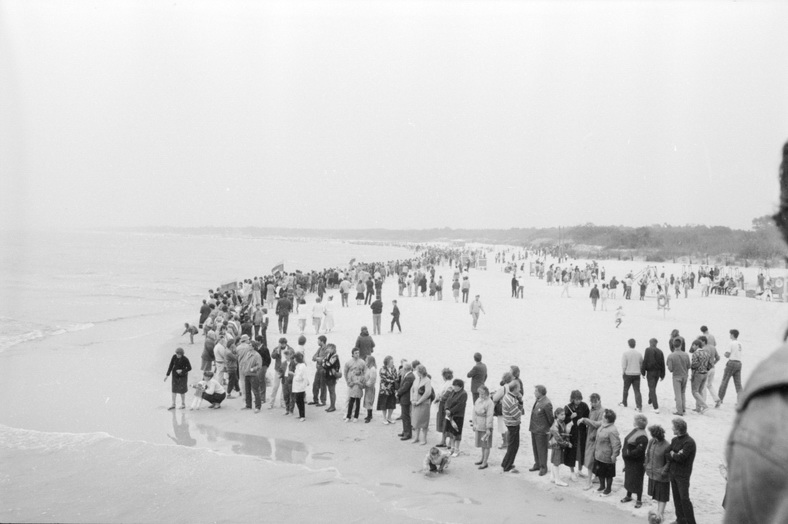 1988-ųjų rugsėjo 3 dieną surengta ekologinė akcija „Apkabinkime Baltiją“ tapo tarsi repeticija po metų įvyksiančiam Baltijos keliui. ŠAM T–F 7042, Šiaulių „Aušros“ muziejus. LIMIS.LT (Vaidoto Kisielio) nuotr.