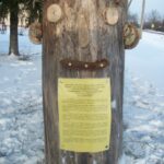 PALIŪNIŠKIO BIBLIOTEKOS ARCHYVO nuotr.