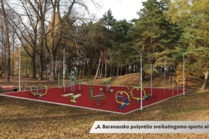Daugiausia Panevėžio miesto gyventojų balsų surinko bendruomenės iniciatyvų konkursui pasiūlyta idėja – „A. Baranausko pušynėlio sveikatingumo-sporto aikštelė“.