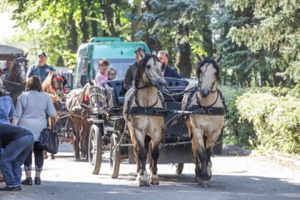 Ne vienerius metus veislinių gyvūnų parodas Panevėžio rajone, Algirdiškyje, rengusi valstybės valdoma įmonė „Panevėžio veislininkystė“ – ant bankroto slenksčio, o minias sutraukdavęs tradicinis renginys iškeliamas į Kauną.