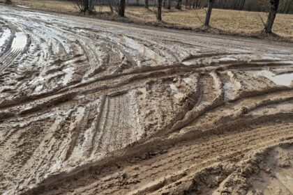 Kol valdininkai kurpia planus, kaip įpūsti gyvybės regionams ir kaimo vietovėms, jų gyventojai pavasarį pasijunta it kaliniai.