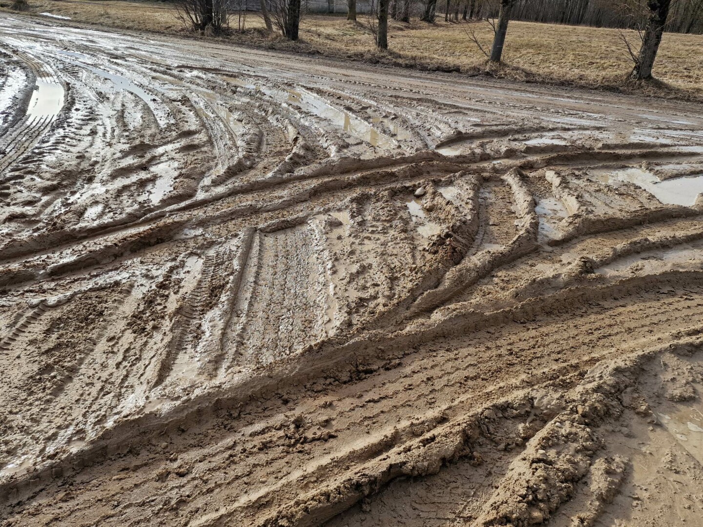 Kol valdininkai kurpia planus, kaip įpūsti gyvybės regionams ir kaimo vietovėms, jų gyventojai pavasarį pasijunta it kaliniai.