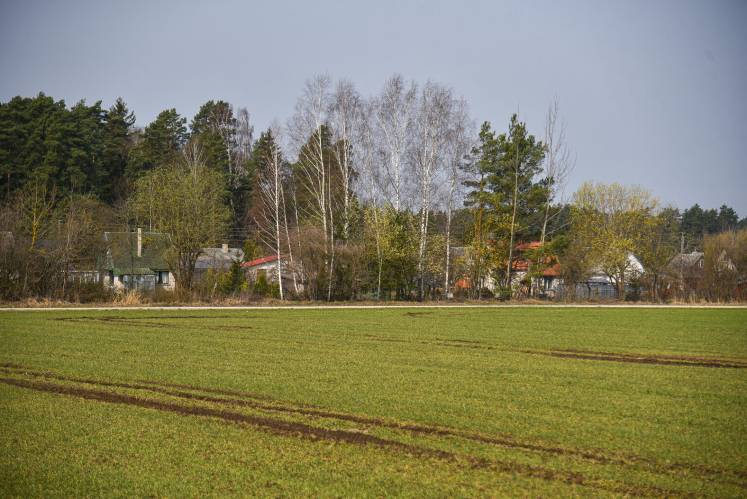 Karsakiškio seniūnijoje sodininkų bendrijų „Beržas“ ir „Žilvitis“ gyventojai apstulbo išgirdę, kad ir jų pašonėje planuojamas smėlio ir žvyro karjeras.