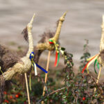 Tradiciškai balandį Perekšlių kaimas Panevėžio rajone pasipuošia ne velykiniais margučiais. Čia išsirikiuoja ant žemės ir sutupia į medžius visa alėja spalvingų, iš įvairiausių medžiagų pagamintų sparnuočių, o unikalų pavadinimą turintis kaimas pasiskelbė paukščių sostine.