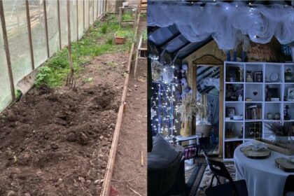 Žaliosios girios apsuptyje, vienkiemyje, savo svajonių namus kurianti panevėžietė grožio specialistė Ingrida Lipnickienė visiems įrodė, kad stilingas šiltnamis gali tikti ne vien pomidorų ar agurkų lysvėms.