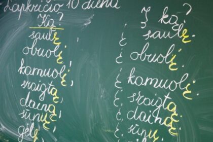 Valstybinei lietuvių kalbos komisijai prakalbus apie kitais metais prasidėsiantį ukrainiečių pabėgėlių lietuvių kalbos žinių tikrinimą, kilo nemenkas ažiotažas.