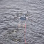 Posakis, kad skęstančiųjų gelbėjimas yra pačių skęstančiųjų reikalas, netrukus gali virsti tikrove. Vykdant vidaus reikalų sistemos pertvarkas, visoje Panevėžio apskrityje nebelieka naro kvalifikaciją turinčių ugniagesių gelbėtojų. Prireikus tokios pagalbos, narai bus kviečiami iš Utenos.