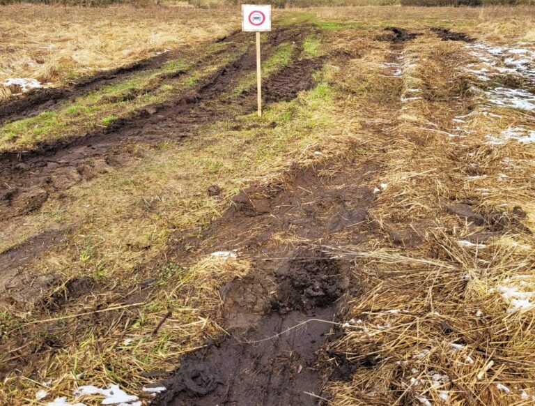 Nuostabiu Nevėžio upės kraštovaizdžiu, upeliukų slėniais ir senvagėmis garsėjantis Krekenavos regioninis parkas atsidūrė ratuotų chuliganų taikiklyje.