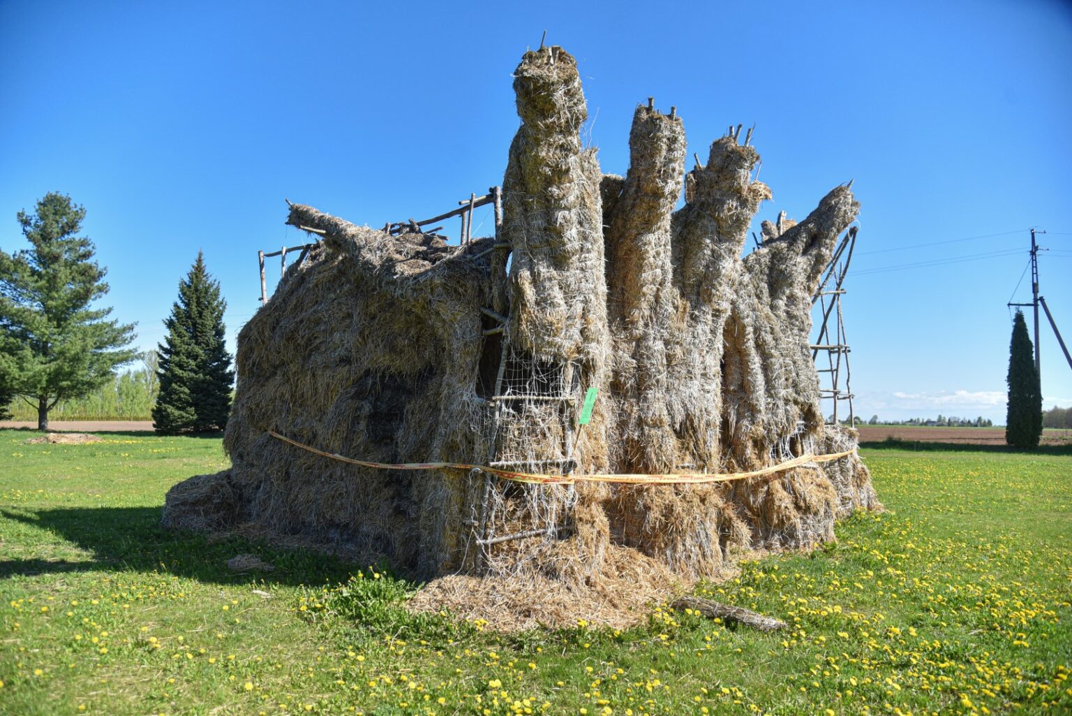Kone du dešimtmečius Naujamiestį ne tik Lietuvoje, bet ir užsienyje garsinusio įspūdingo šiaudų skulptūrų parko greitai nebeliks nė kvapo.