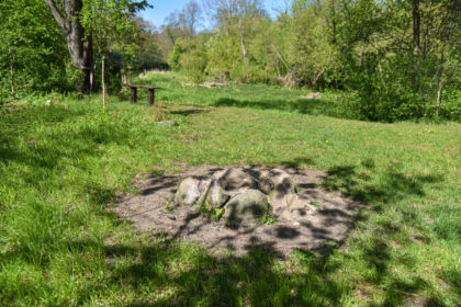Baltų tikėjimo išpažinėjai – Paliūniškio „Romuvos“ bendruomenė – šokiruota: vos per tris savaites vandalai jau dukart išniekino jų šventvietę, išgriovė aukurą, o akmenis sumetė į upę.