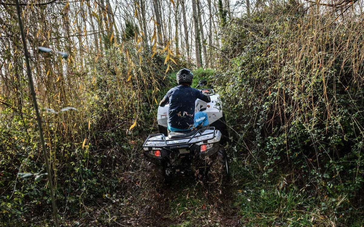 Valstybinių miškų urėdijos (VMU), policijos bei Aplinkos apsaugos departamento pareigūnai visą gegužės mėnesį vykdys reidus miškuose.