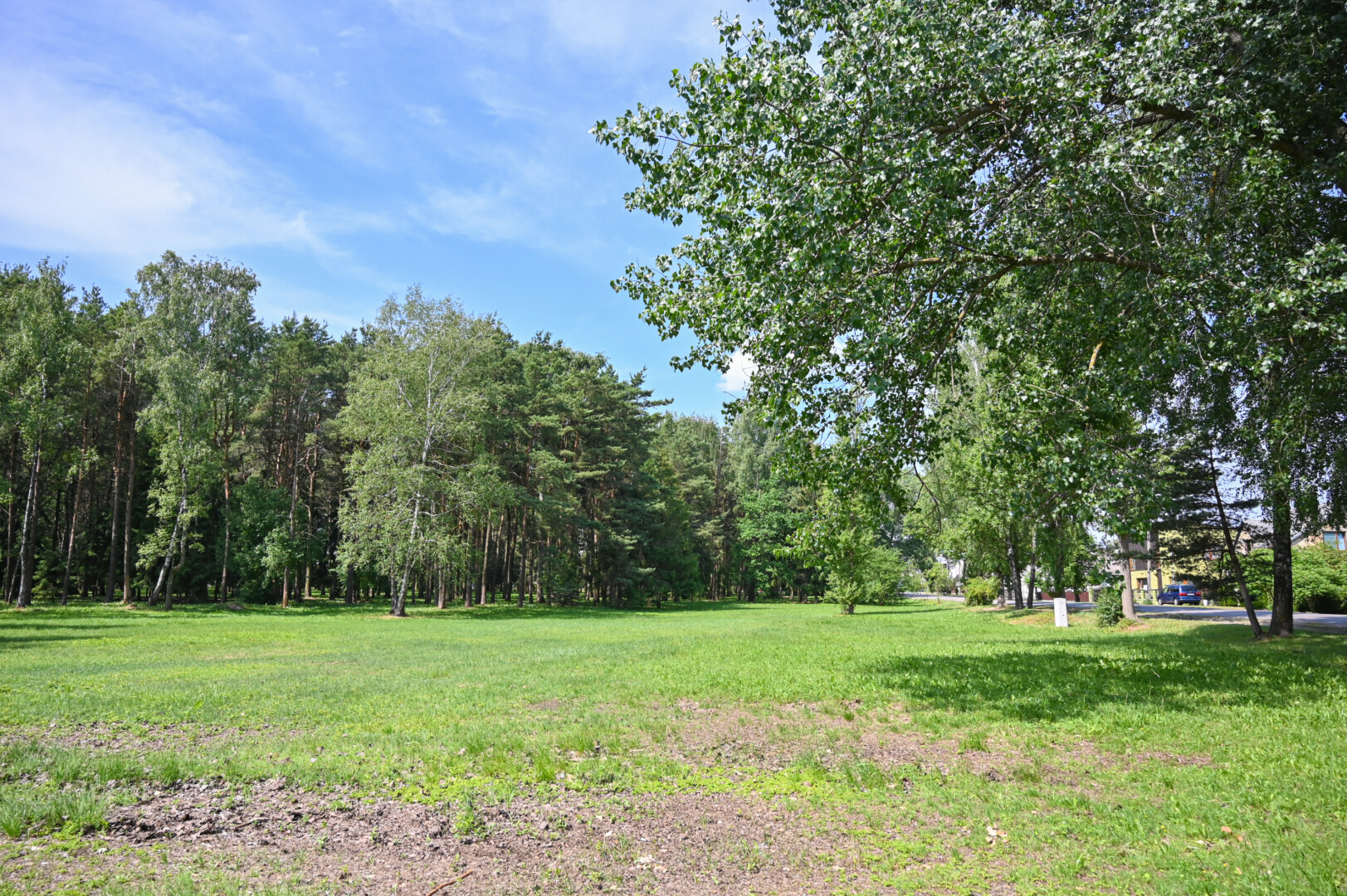 „Harmonijos miestas“ užimtų vos 29 arų sklypą pusantro hektaro pušyno pakraštyje. P. ŽIDONIO nuotr.