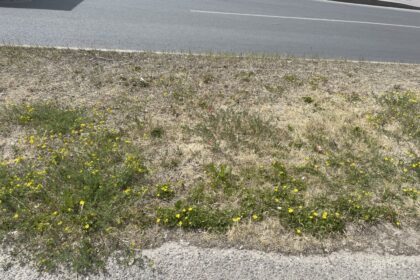 Sausi orai diktuoja kitokias gyvenimo sąlygas.