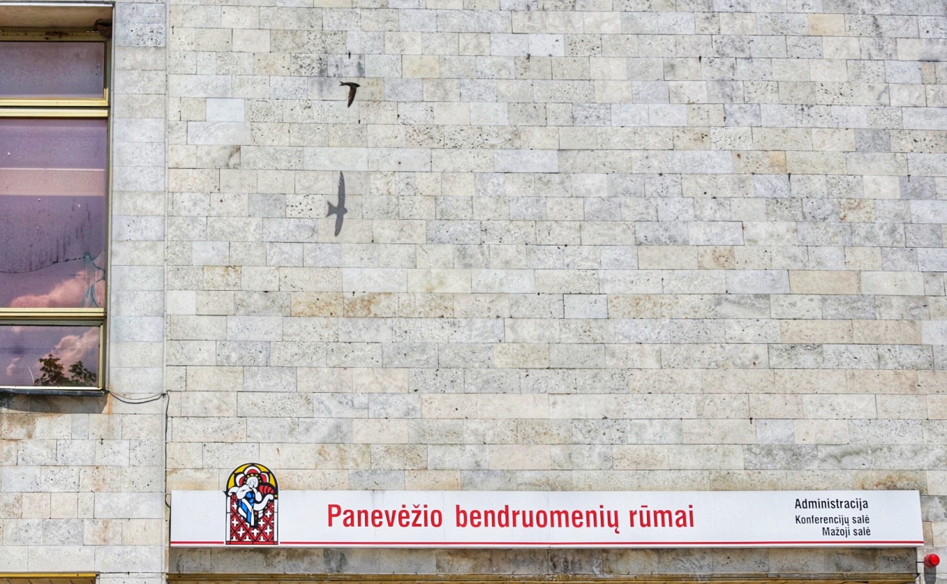 Neatleistinas vandalizmas ar natūralioji atranka – tokią mįslę šį ketvirtadienį teko narplioti aplinkosaugininkams, kai vienas neabejingas panevėžietis, pamatęs prie Bendruomenių rūmų išdraskytus kregždžių lizdus ir išsigandusius jauniklius, pranešė apie galimą barbariškumo atvejį.