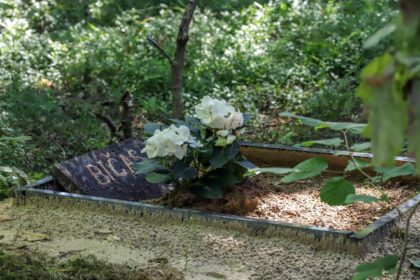 Pagaliau nusipirkusi gyvūnų kapinių projektavimo paslaugas, Panevėžio miesto savivaldybė joms įrengti pinigų kol kas neskyrė.