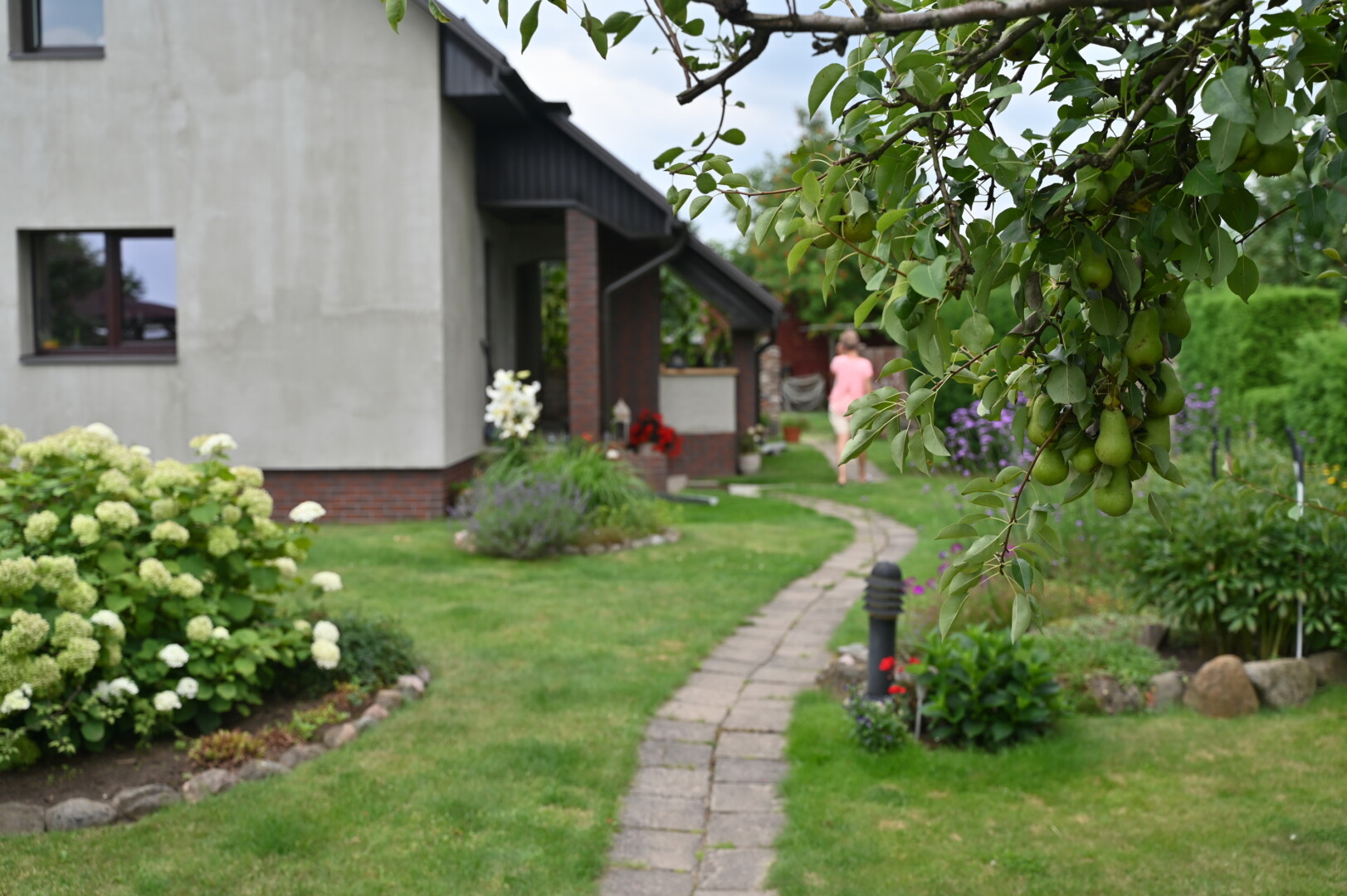 I. Černiauskienė negali be graudulio žiūrėti į išpuoselėtą savo kiemą ir ką tik baigtą renovuoti namą – per šią vietą numatyta tiesti „Rail Baltica“ geležinkelį. G. Kartano nuotr.