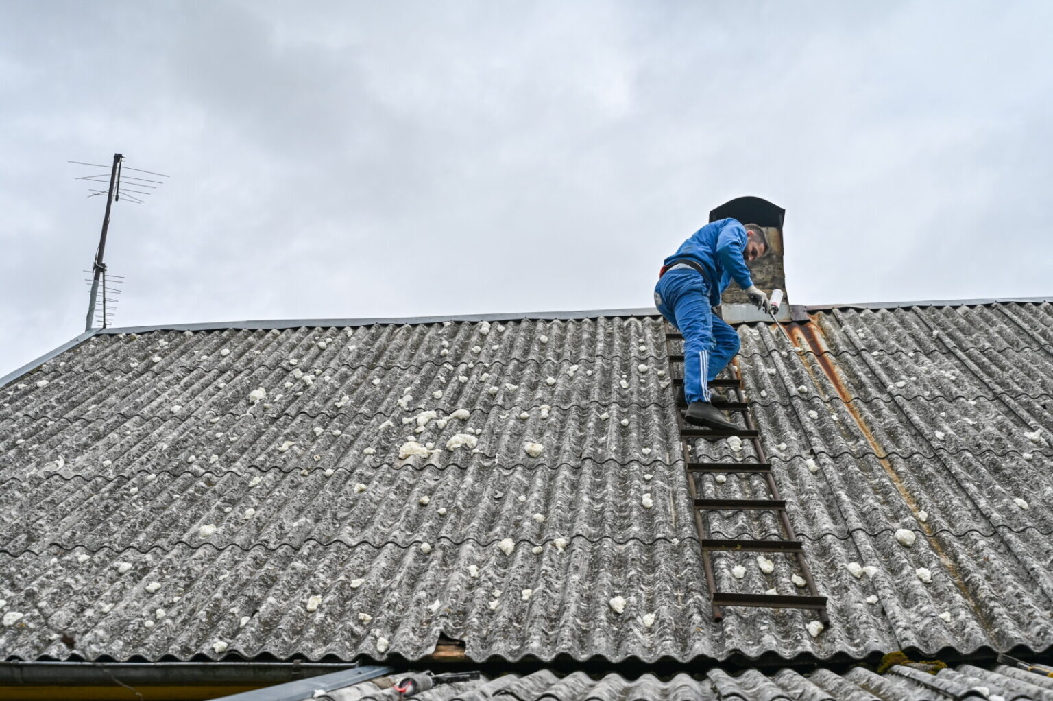 Dalį Panevėžio rajono nusiaubusios galingos krušos nuostoliai jau pasiekė apie 9 mln. eurų.