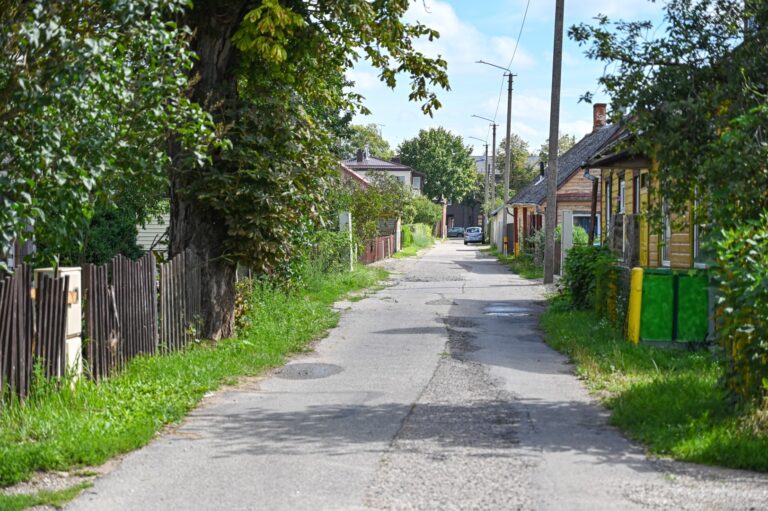 Respublikos ir A. Mackevičiaus gatves jungianti trumpa siaurutė miesto atkarpa jau šimtą metų saugo žymaus kūrėjo Kristijono Donelaičio vardą.