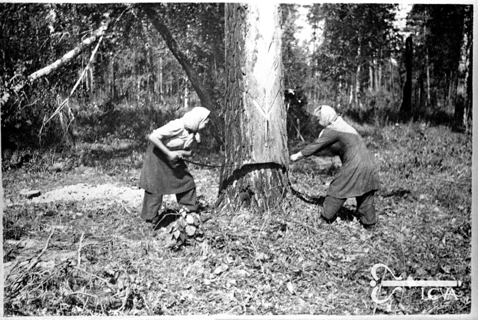 Žmonės, kūrę ir statę nepriklausomą Lietuvą, 1940-aisiais staiga tapo „liaudies priešais“. Sužaloti likimai, pasmerkti gyvenimai, ištisų šeimų ir giminių tragedijos – visa tai atnešė sovietų okupacija.