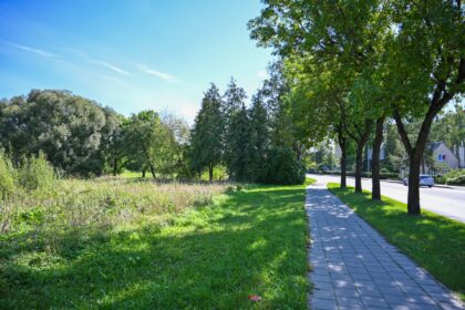 Žolę auginti susirengusiems sklypų savininkams ramiai vasaroti neleidusi Panevėžio savivaldybė šįmet už neprižiūrėtą turtą baudomis apdalijo daugiau nei porą dešimčių apsileidėlių.