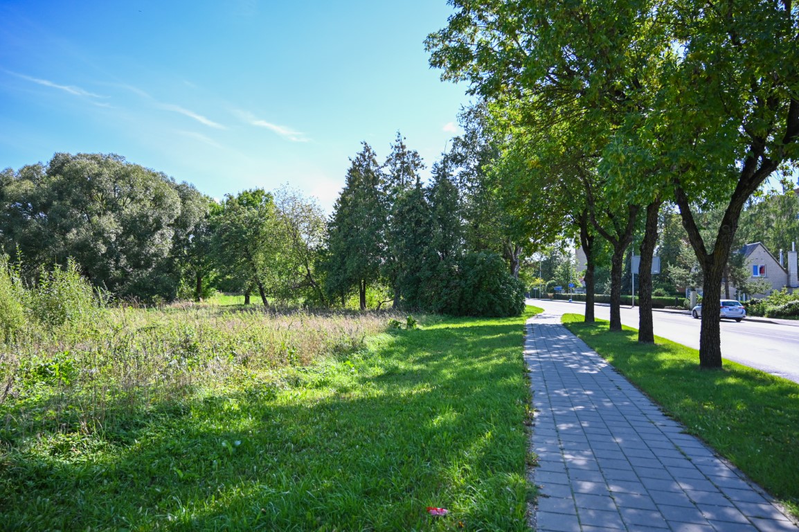 Žolę auginti susirengusiems sklypų savininkams ramiai vasaroti neleidusi Panevėžio savivaldybė šįmet už neprižiūrėtą turtą baudomis apdalijo daugiau nei porą dešimčių apsileidėlių.