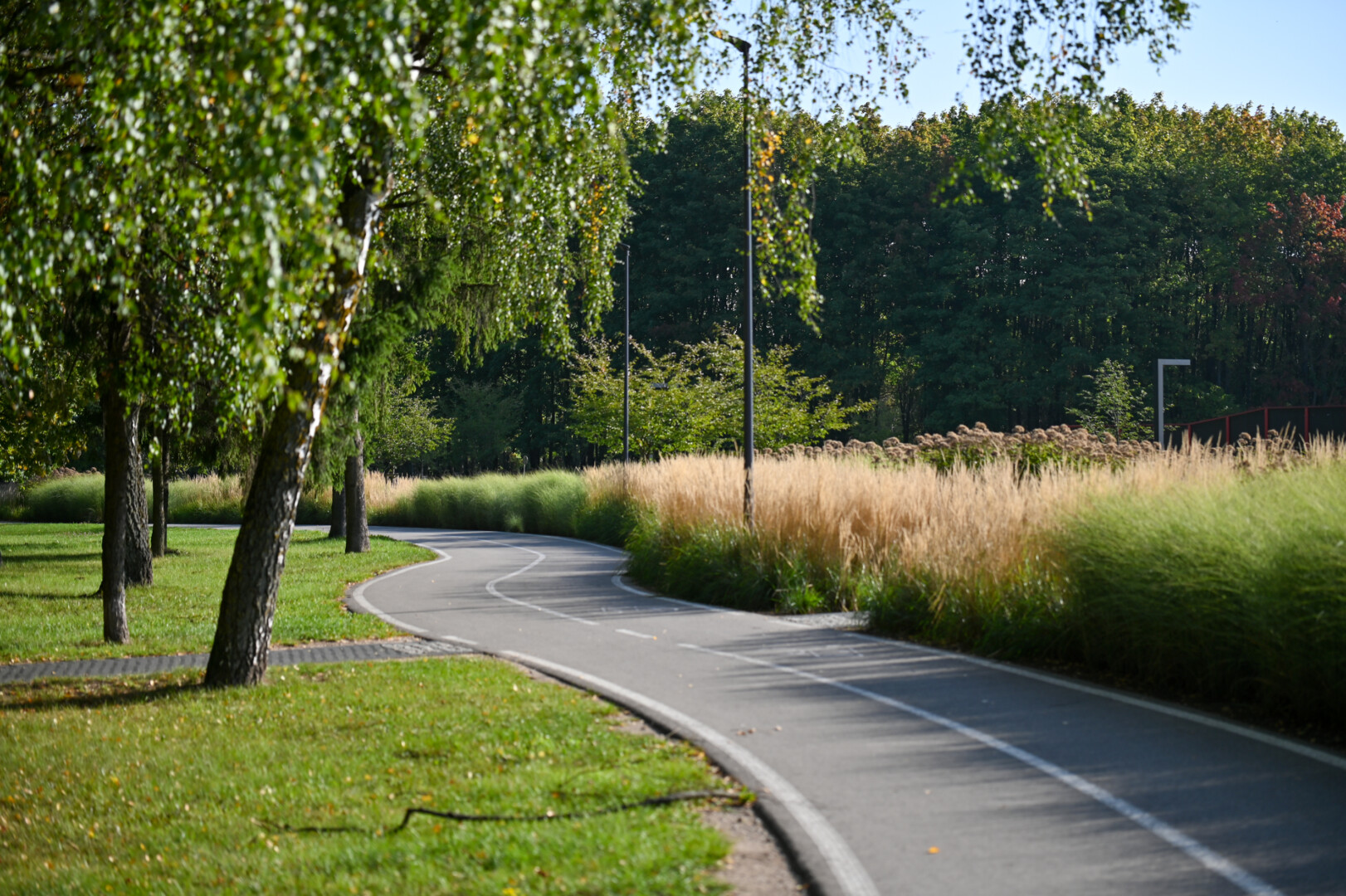 Kultūros ir poilsio parkas. P. Židonio nuotr.