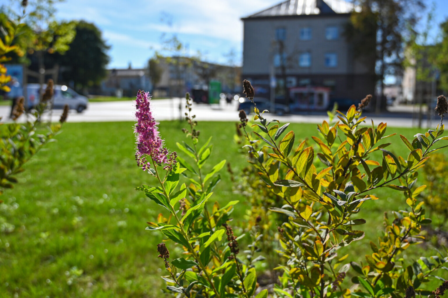 Vasariškas ruduo susuko galvas net pačiai gamtai.