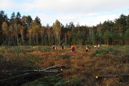 Požiūris, kai gyvenama šia diena beatodairiškai naudojantis gamtos turtais, lėmė, kad Panevėžio rajono Pašilių miške tarp Krekenavos ir Ramygalos beveik nebeliko Pašilių pelkės.