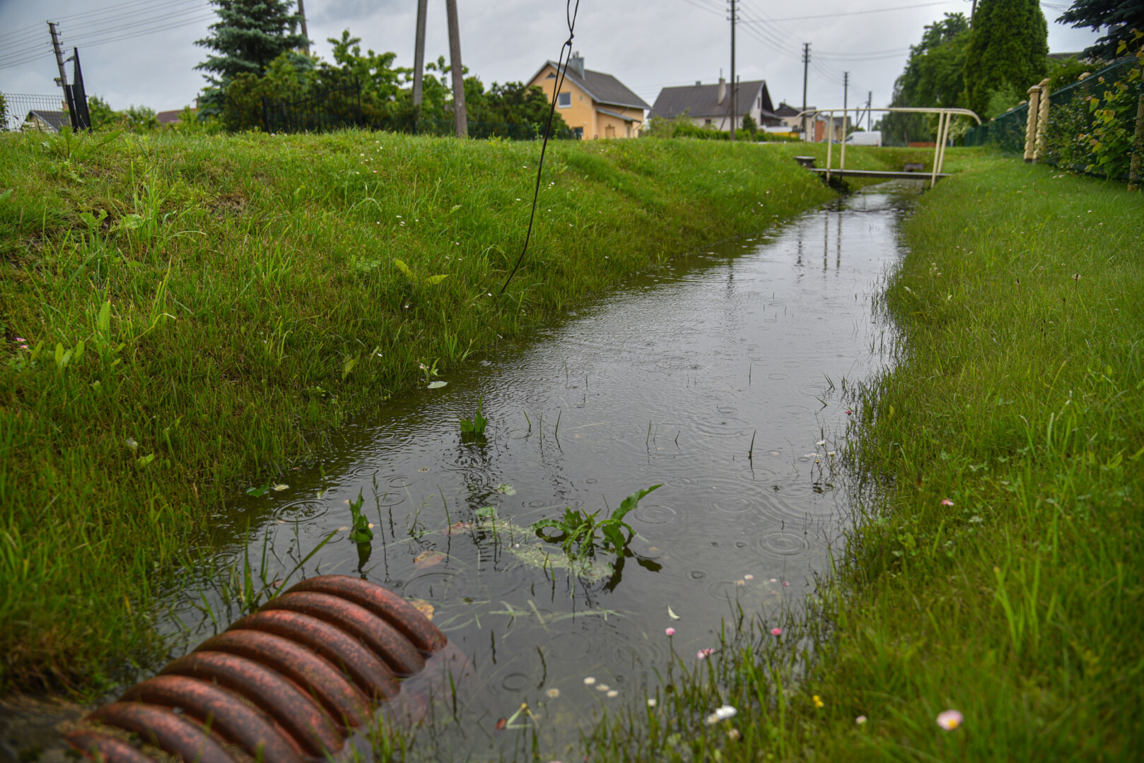 „Aukštaitijos vandenys“ motyvuoja, jog lietaus nuotekas į bendrą sistemą leidžiantys Rožyno gyventojai šitaip skandina kaimynus, mat persipildžius vamzdynams nebeįmanoma naudotis net kanalizacija. P. Židonio nuotr.