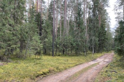 Prieš pat Kalėdas kraupią mįslę užminė netoli Paliūniškio, girioje prie keliuko rasti, kaip manoma, brakonierių išmesti gyvūnų kūnai nudirtais kailiais ir be galvų.