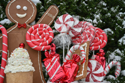 Pagrindinė Panevėžio rajono eglė, sekmadienį nušvisianti Piniavoje, bus išties unikali.