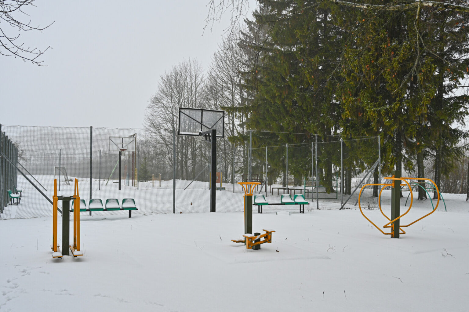 Gindamas valstybės interesus Turto bankas praėjusiais metais kreipėsi į teismą, prašydamas sustabdyti savavališkus Skaistgirių bendruomenės atstovų veiksmus ir grąžinti valstybei priklausantį turtą – buvusios mokyklos priklausinius, aikštynus.