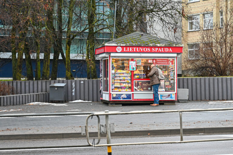 Įvairiose Panevėžio vietose netrukus gali kaip grybų po lietaus pridygti kioskų arba paviljonų.