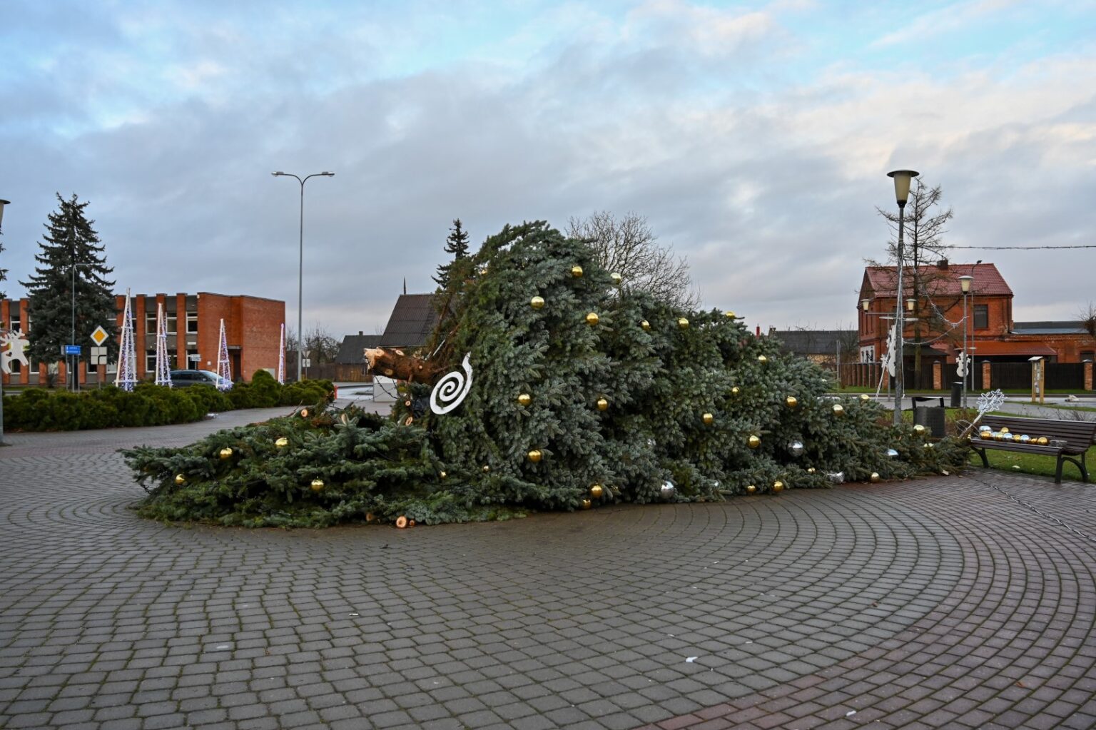 Dėl pirmąją Kalėdų dieną pūtusio stipraus vėjo Naujamiestyje nuvirto eglė.