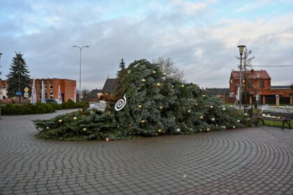 Dėl pirmąją Kalėdų dieną pūtusio stipraus vėjo Naujamiestyje nuvirto eglė.