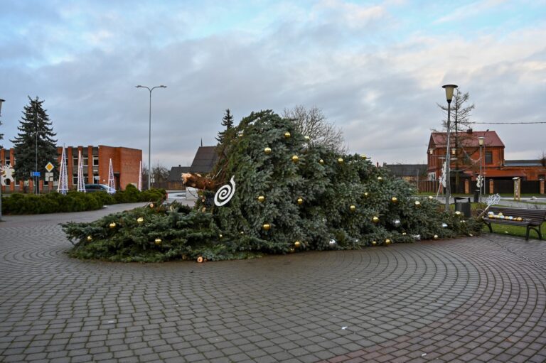 Dėl pirmąją Kalėdų dieną pūtusio stipraus vėjo Naujamiestyje nuvirto eglė.