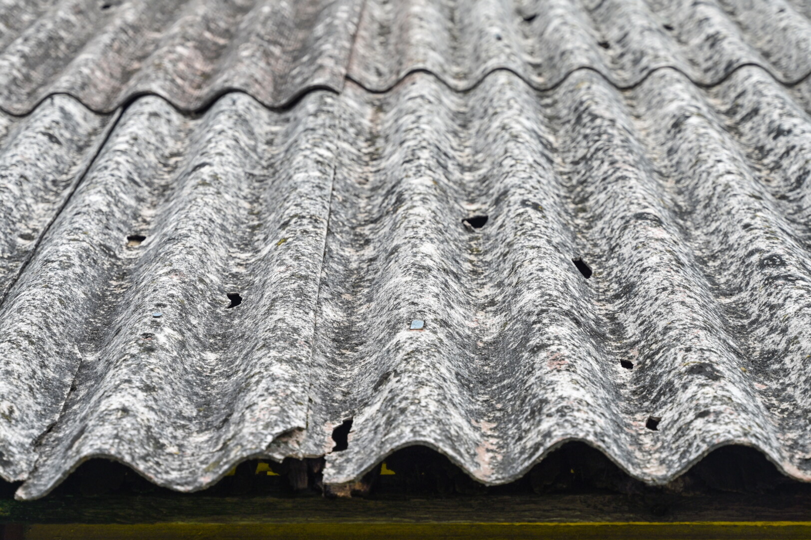 Vyriausybei nusprendus iš dalies kompensuoti tik už stichijos suniokotus gyvenamųjų namų stogus, baisios krušos milijoniniams nuostoliams kompensuoti Panevėžio rajonui Vyriausybė atseikėjo vos per 200 000 eurų. G. KARTANO nuotr.