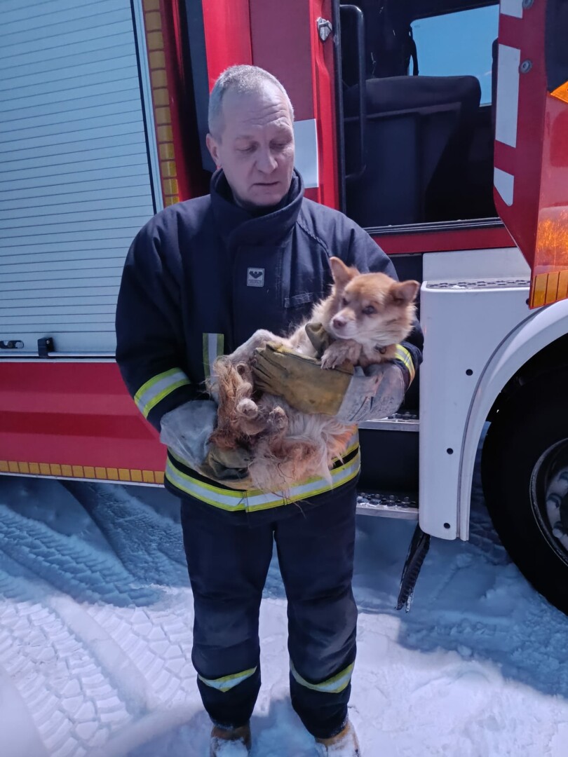 R. Liberienės nuotr.