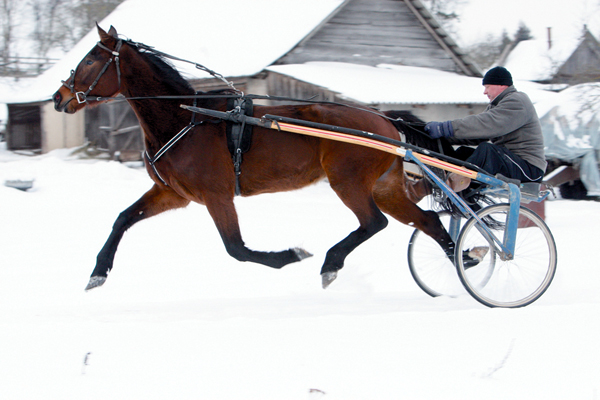 Jau šį savaitgalį po penkerių metų pertraukos grįžta tradicinis žiemos renginys – ristūnų lenktynės „Sartai 2024“.