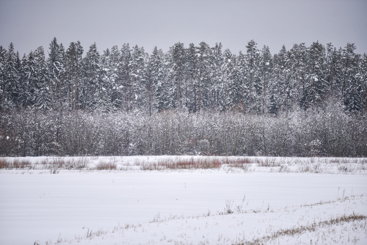 Visoje Lietuvoje pirmadienį ūkininkai savo laukuose prie pagrindinių kelių degins laužus, taip protestuodami prieš, anot jų, žalingą žemės ūkio politiką.
