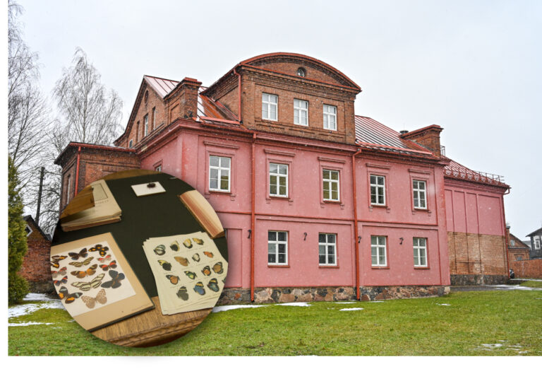 Ne vieną dešimtmetį kone didžiausia šalyje egzotiškų drugelių ir vabzdžių kolekcija garsėjęs Panevėžio kraštotyros muziejus dabar tuos eksponatus sandėliuoja saugyklose, mat prakiuręs stogas kėsinasi suniokoti šį pasididžiavimą.