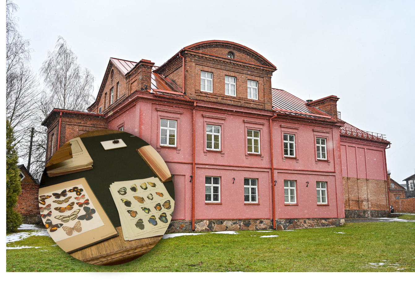 Ne vieną dešimtmetį kone didžiausia šalyje egzotiškų drugelių ir vabzdžių kolekcija garsėjęs Panevėžio kraštotyros muziejus dabar tuos eksponatus sandėliuoja saugyklose, mat prakiuręs stogas kėsinasi suniokoti šį pasididžiavimą.